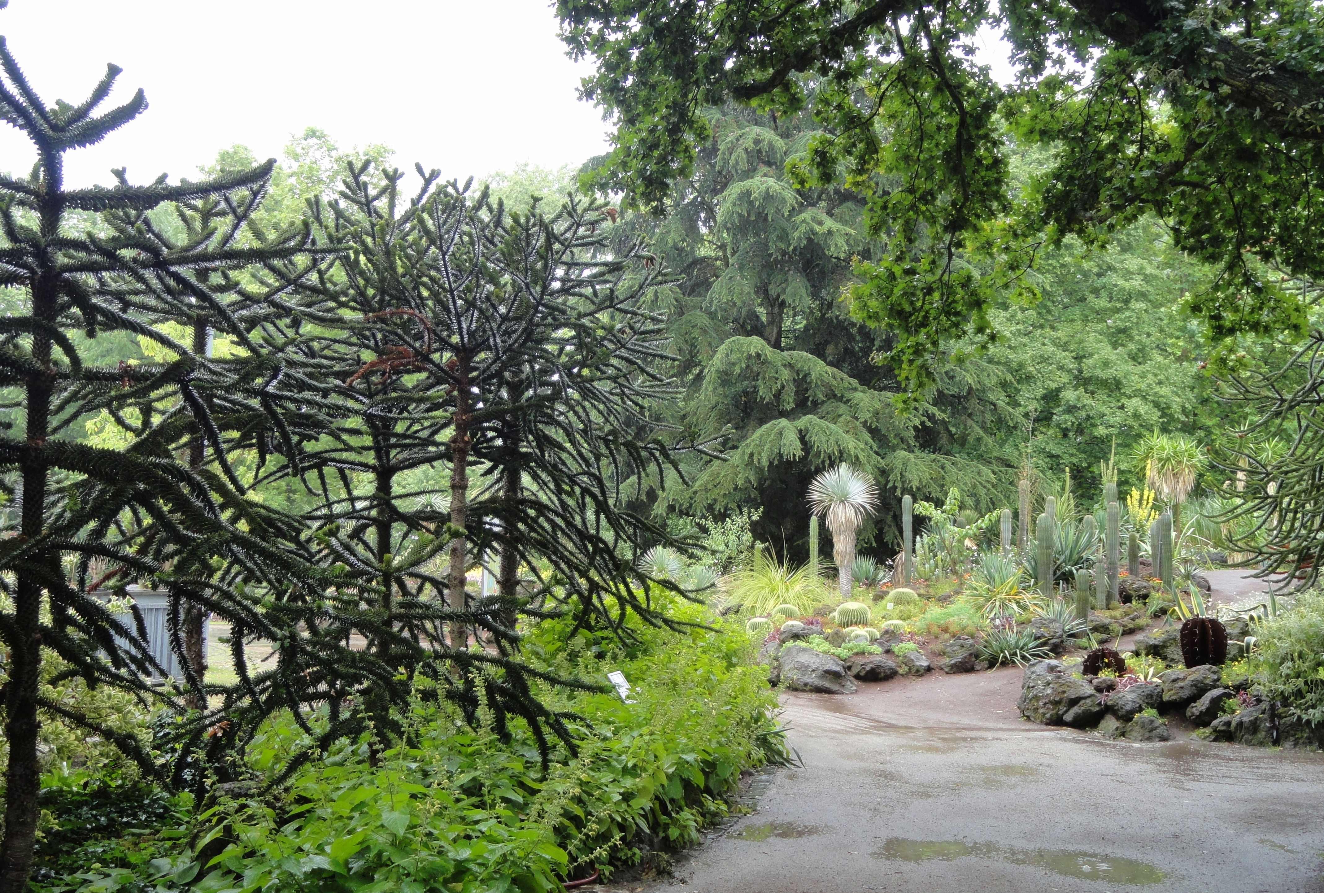 Francfort_explorer_le_poumon_vert_de_la_ville