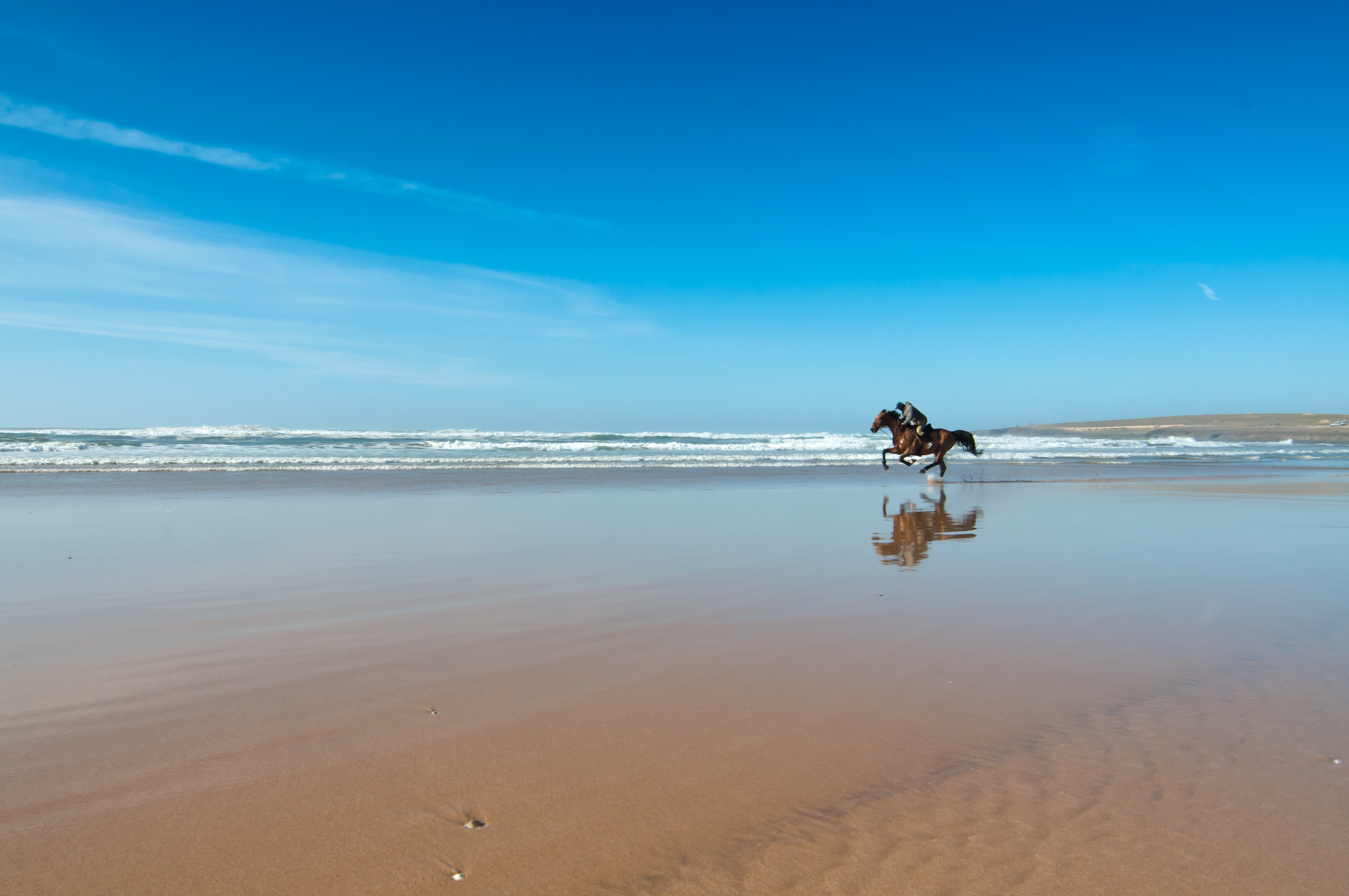 Casablanca_se_prelasser_sur_un_lit_de_sable