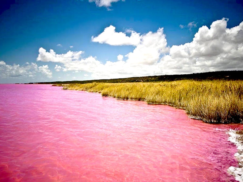 Dakar_lac_rose