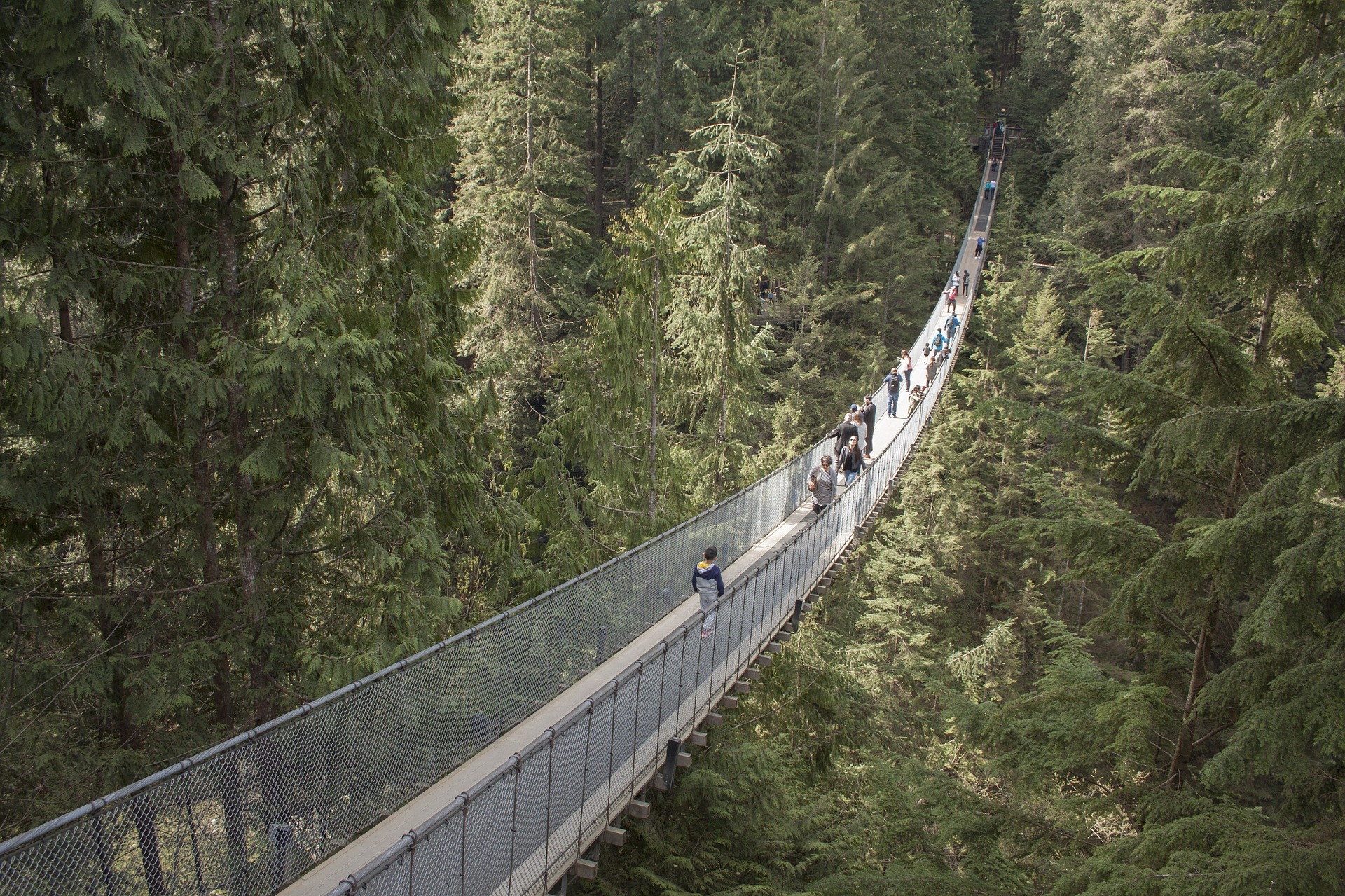 Pont suspendu de Capilano à Vancouver au Canada