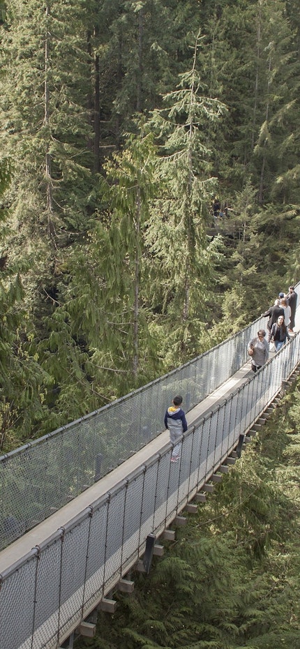 Pont suspendu de Capilano à Vancouver au Canada