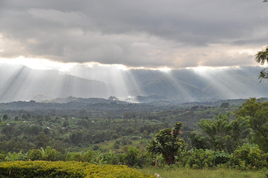 Congo Rwenzori