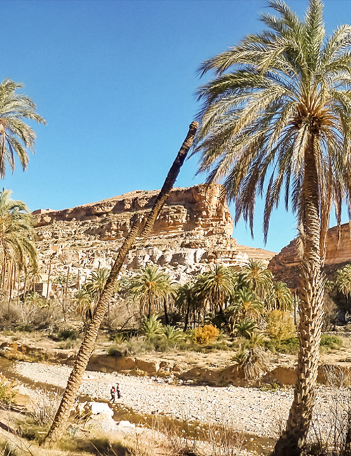 Destination Batna vignette portrait