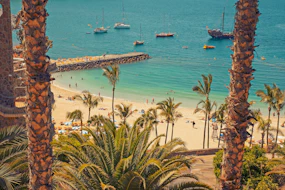 Destination Las Palmas plage et palmiers