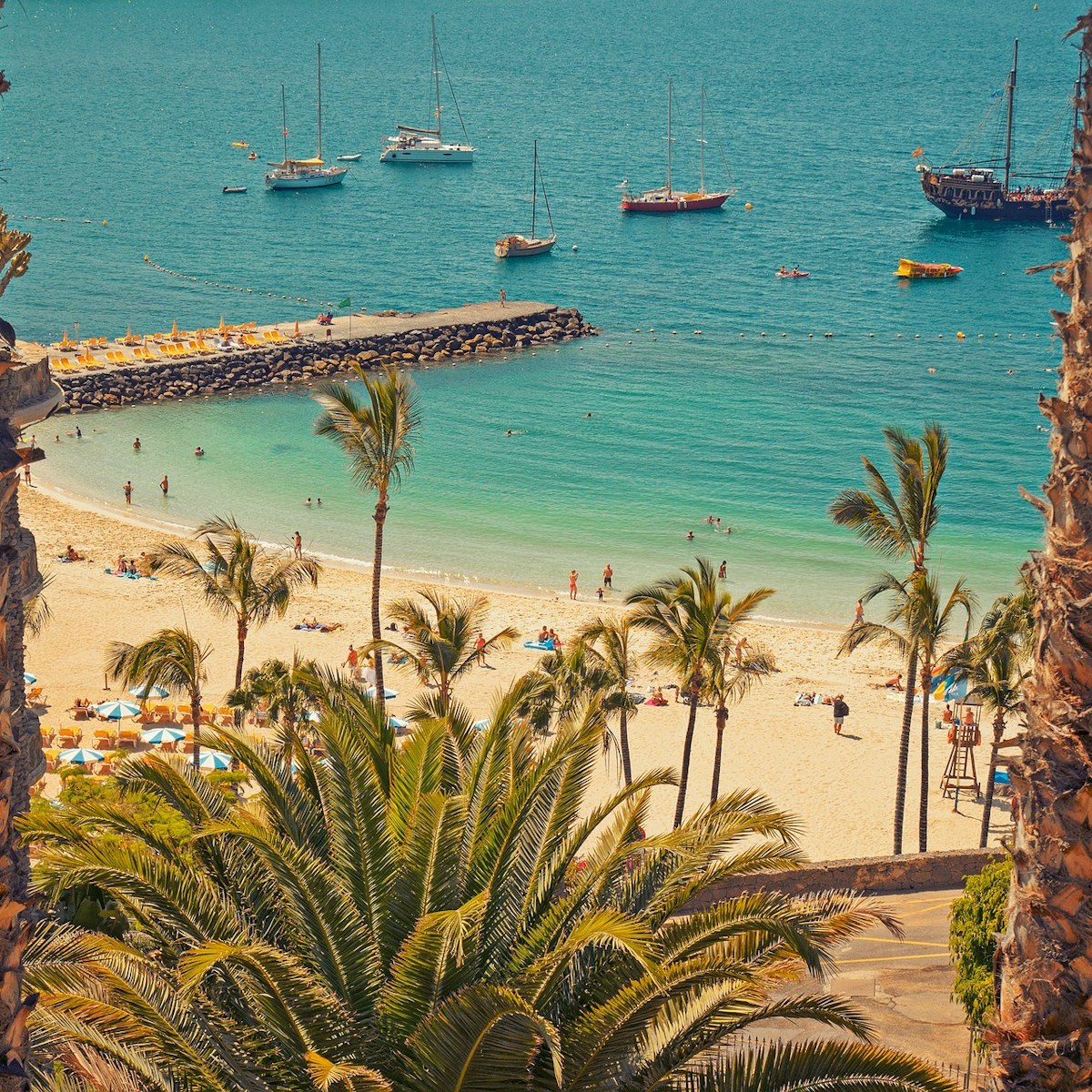 Destination Las Palmas plage et palmiers