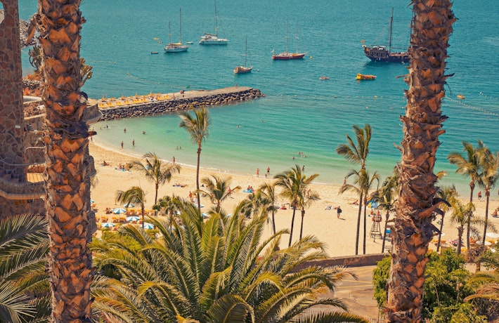 Destination Las Palmas plage et palmiers