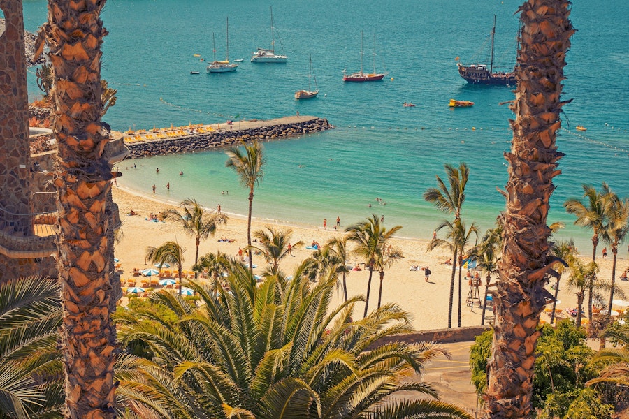 Destination Las Palmas plage et palmiers
