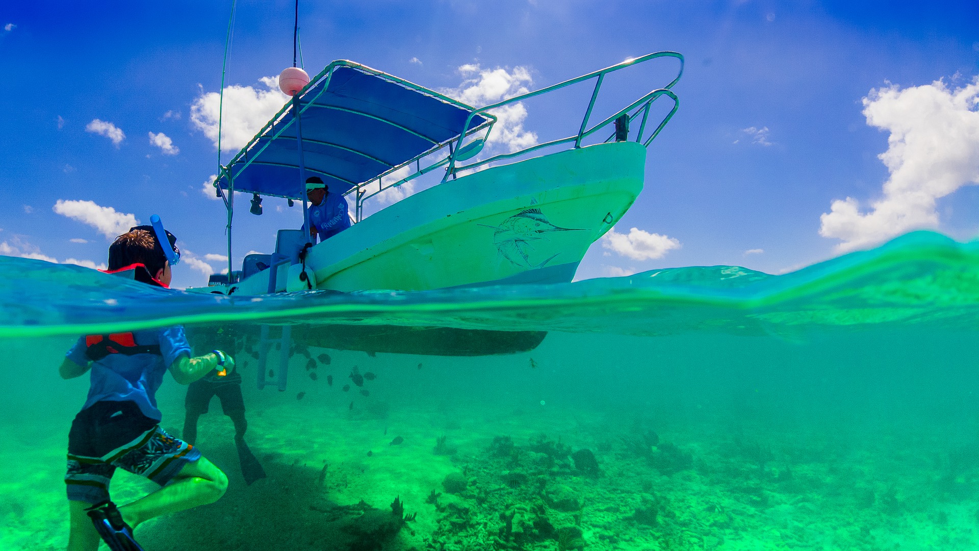 Plongée dans la mer avec bateau