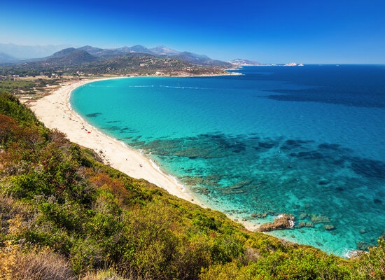 Corse