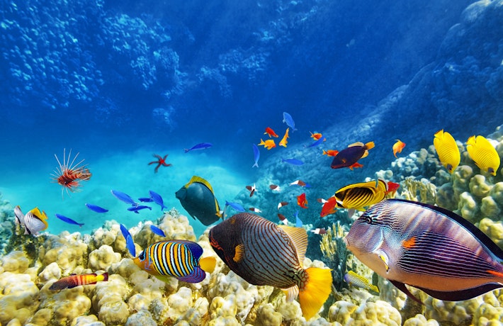 Hurghada, Egypte