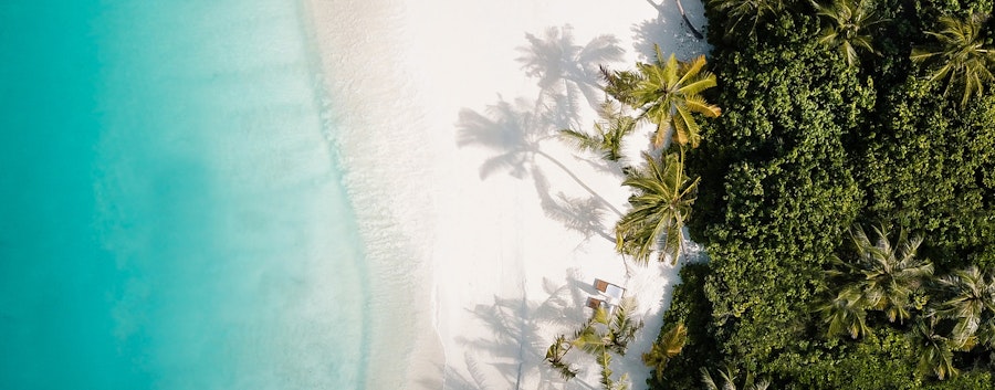 Votre recherche d'inspiration