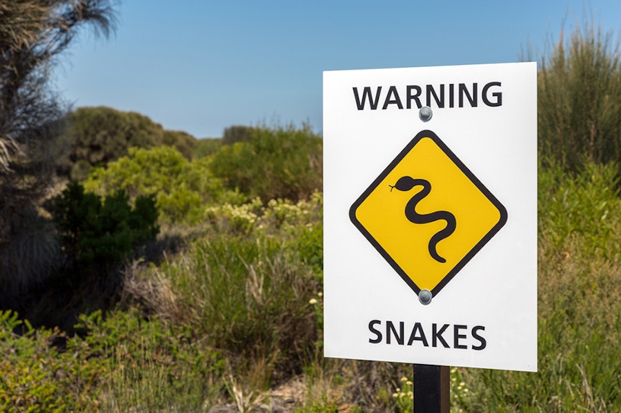 Serpent Australie Warning