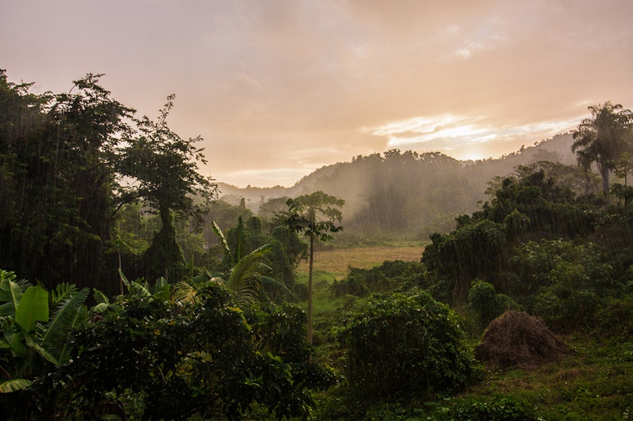 Guadeloupe saison humide