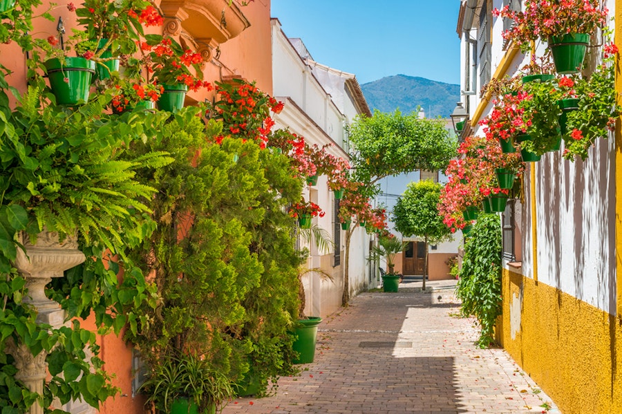 Malaga Vieille ville Espagne