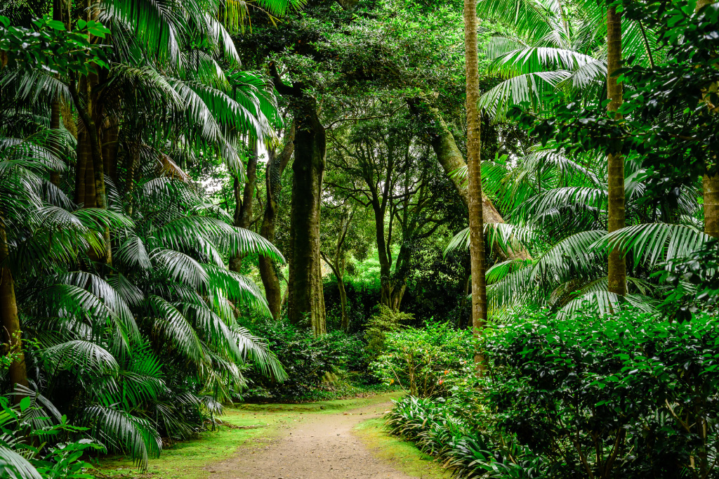 Jardins de Ponta Delgada