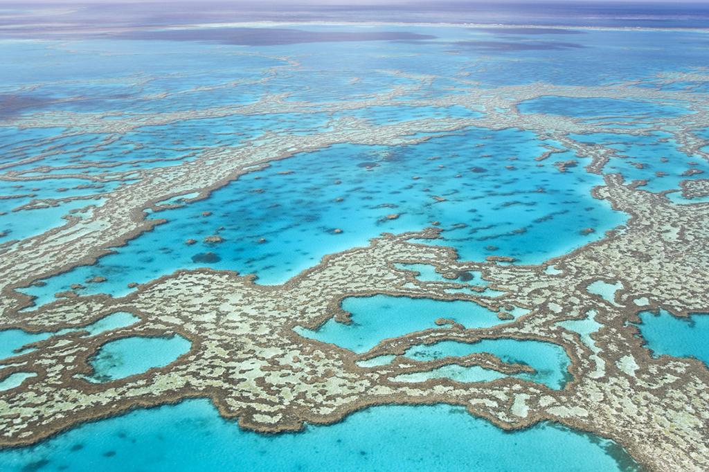 Brisbane Grande Barrière de Corail