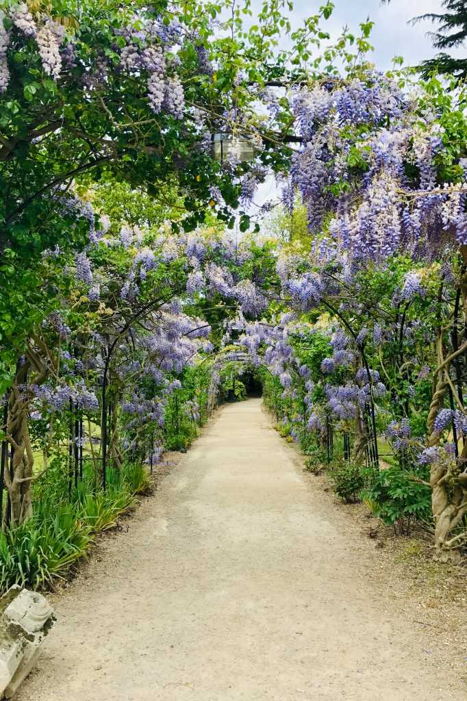 Jardin de l'Evêché