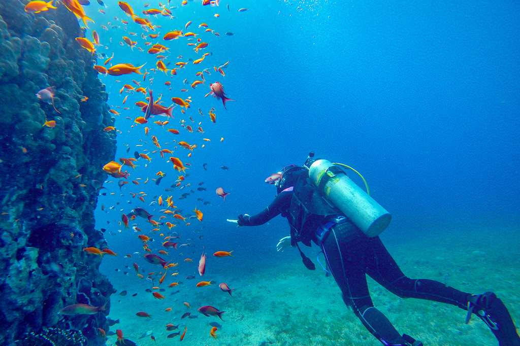 Plongée sous marine Aqaba