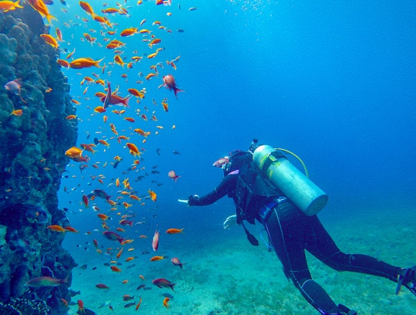 Plongée sous marine Aqaba