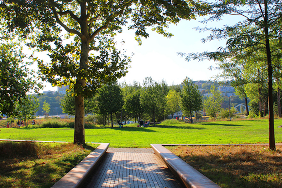 Lyon parc