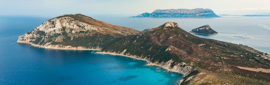 Corse Figari côtes