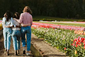header tulipes printemps