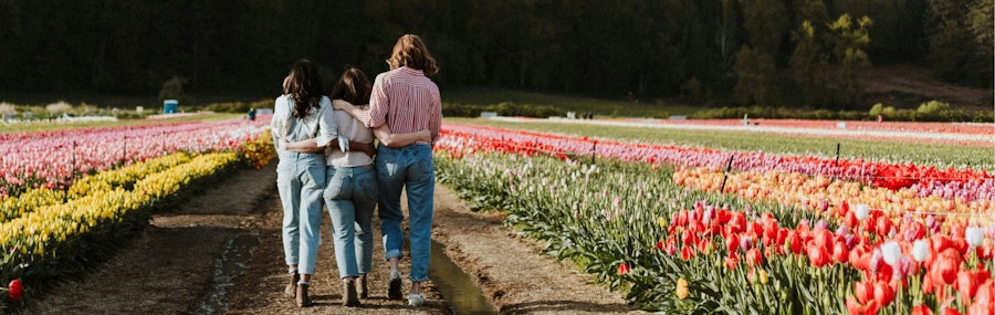 header tulipes printemps