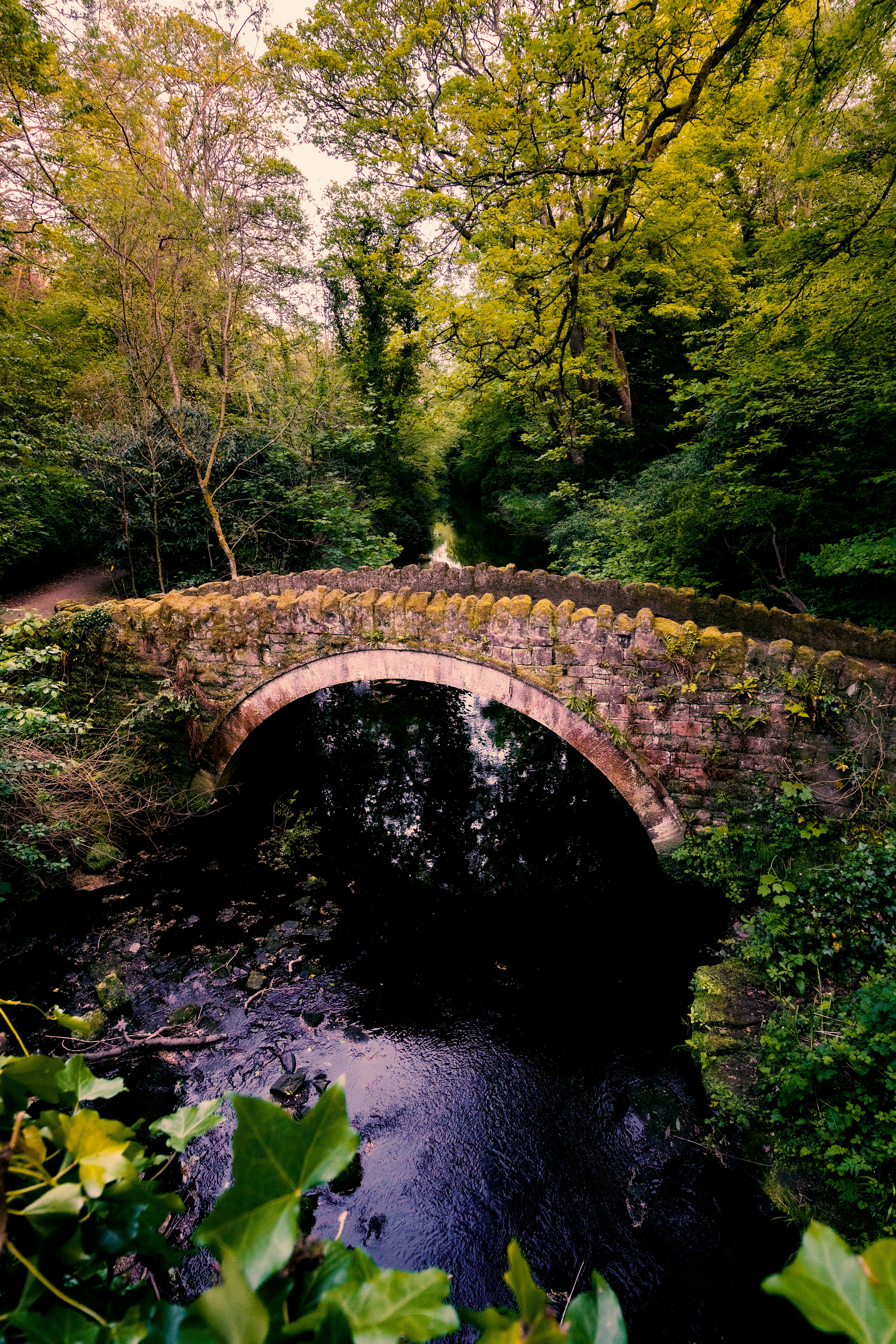 Destination Newcastle parc nature pont