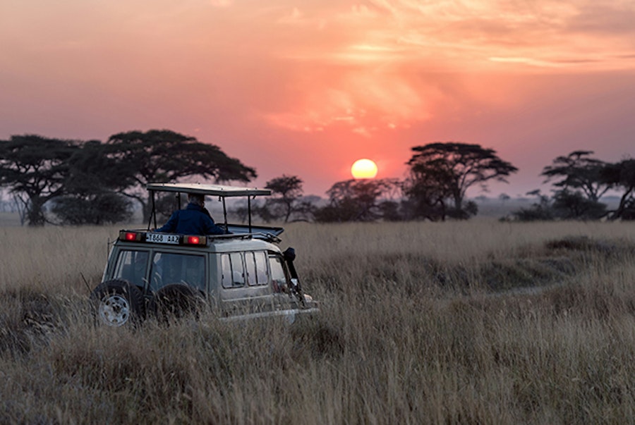Safari Nature Afrique Coucher de soleil