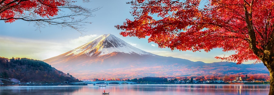 Japon paysage cerisiers inspiration