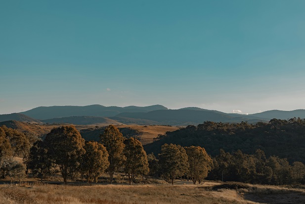 Destination Canberra Australie parc nature