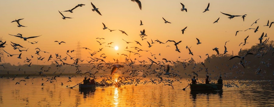 Delhi