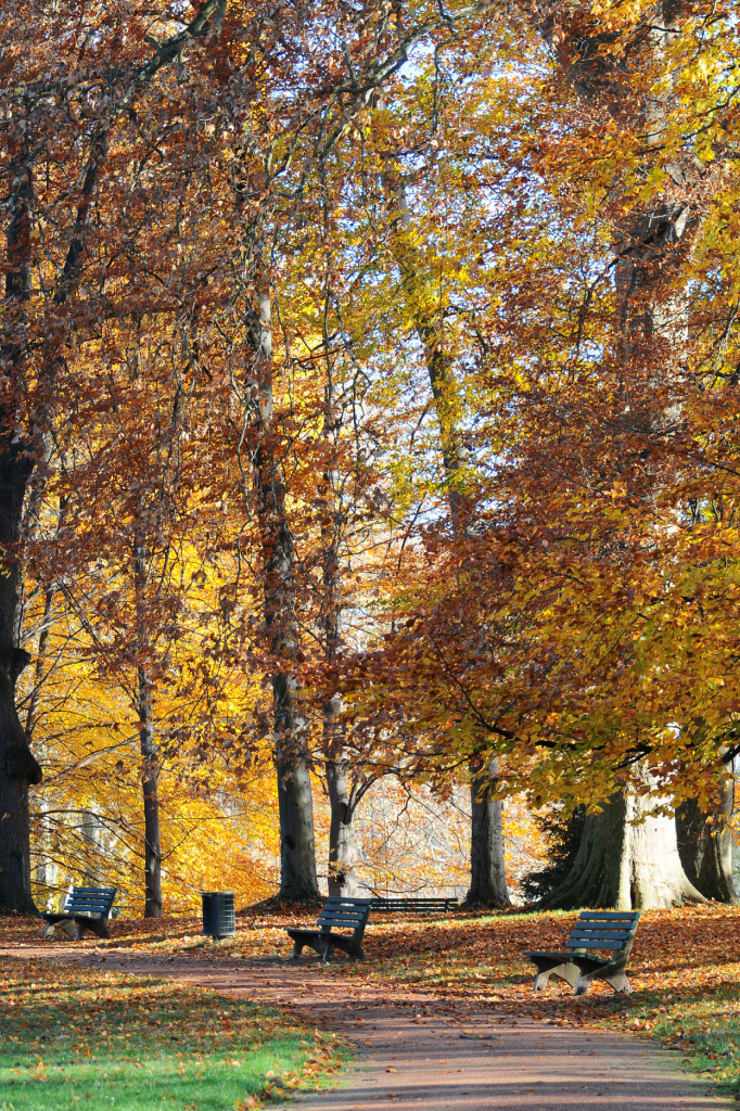  parc de la Tête d’Or