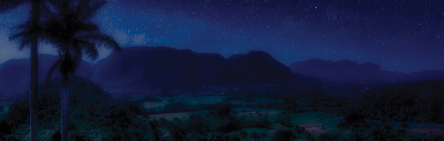 Header Black Week 2025