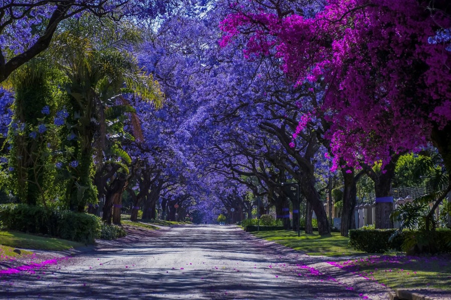 Pretoria