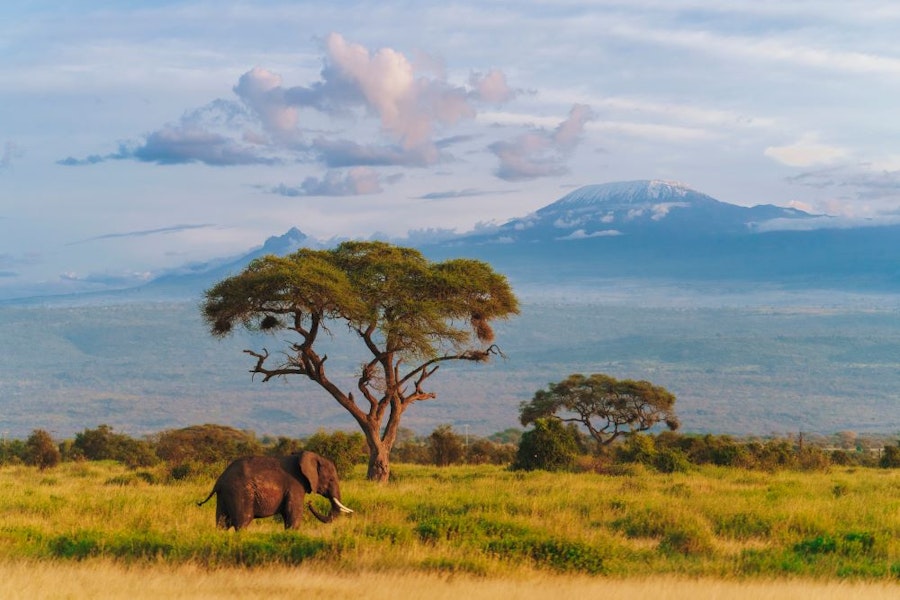 kenya paysage