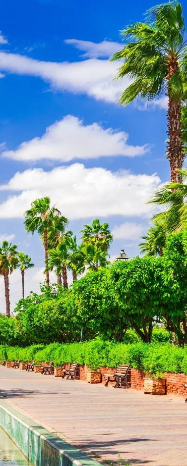 Jeu Concours Royal Air Maroc 2026-02