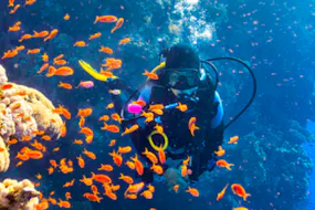 Plongée sous marine