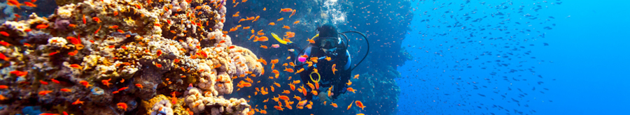 Plongée sous marine