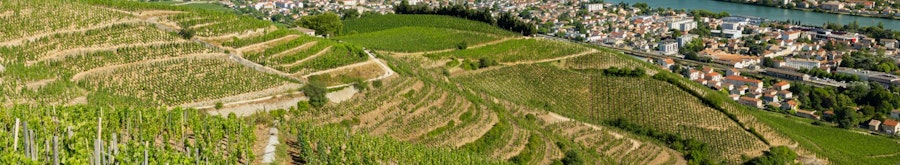 Route des vins 