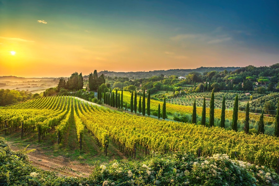 Vignes Italiennes