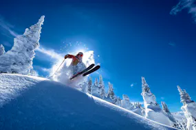 Ski