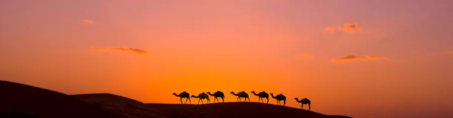 Désert d'Oman