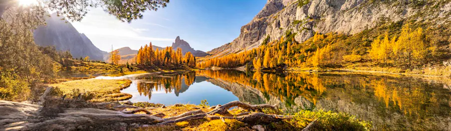 Automne