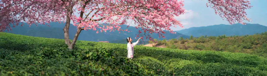 Printemps