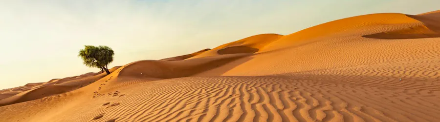 Désert Oman