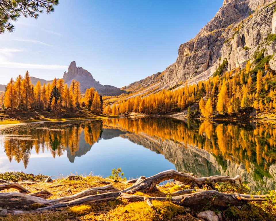 Automne