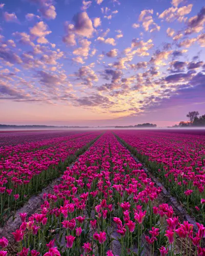 Nature