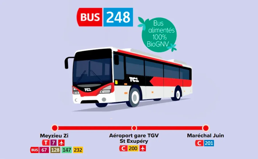 Bus 248