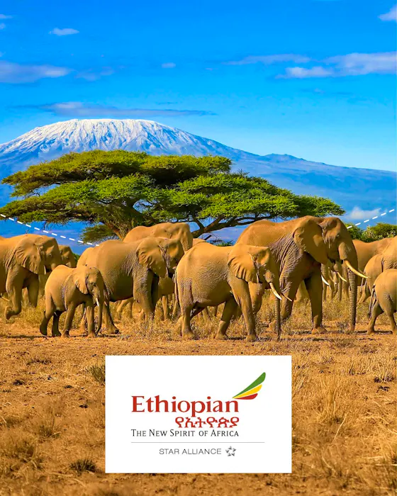Ethiopian Airlines